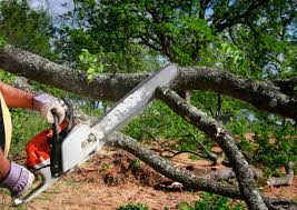 Best Lot and Land Clearing  in Theodore, AL