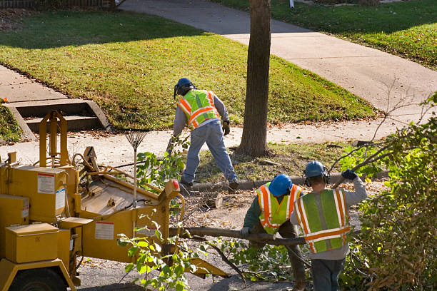 Best Commercial Tree Services  in Theodore, AL